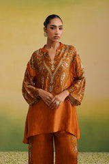 Close-up of rust paisley print