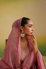 Dupatta close up, organza dupatta, zari work