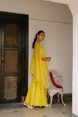 Yellow Organza Cape Set with Sharara for Women