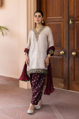 Ziya Champagne Tissue and Banarasi Silk Salwar Set