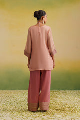 back view of Naaz pink tissue farshi salwar set