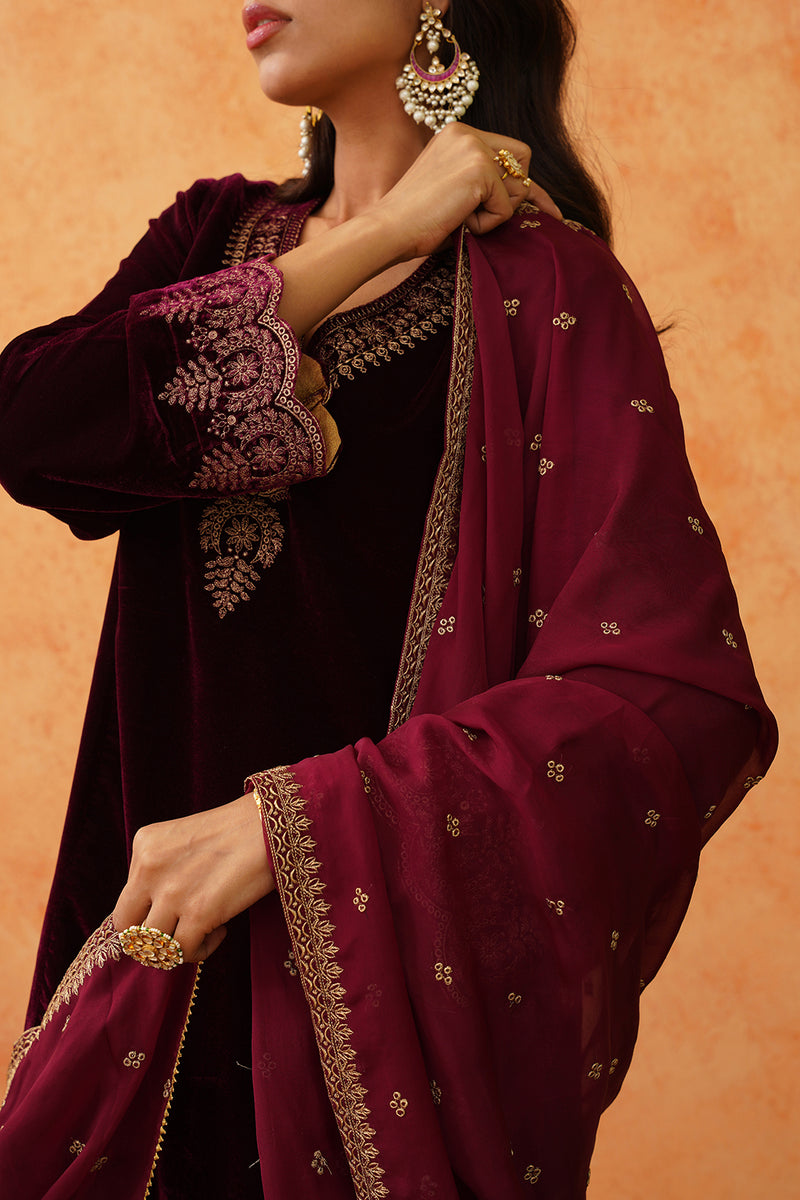 Safar Wine Velvet Embroidered Suit