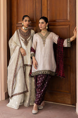 Ziya Champagne Tissue and Banarasi Silk Salwar Set