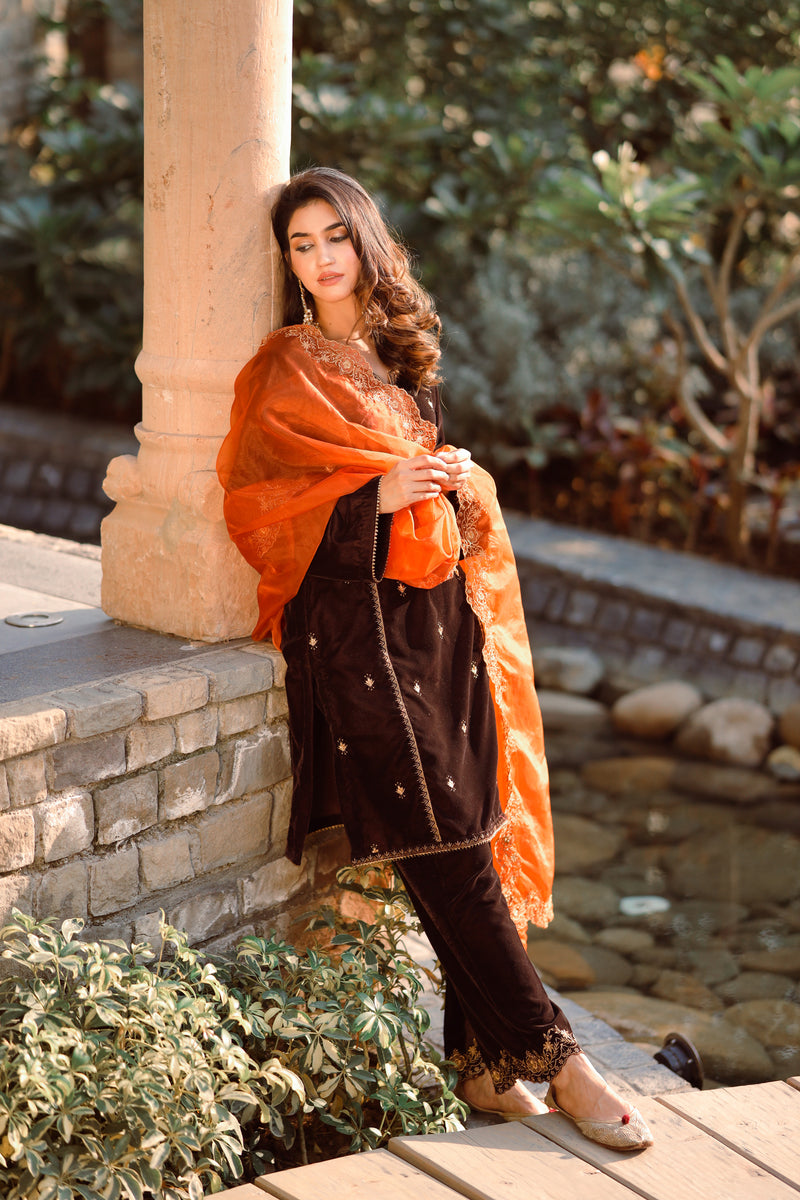 Pin by Rʌjvɩʀ on Punjabi girls | Bad girl outfits, Most beautiful dresses,  Stylish girl pic